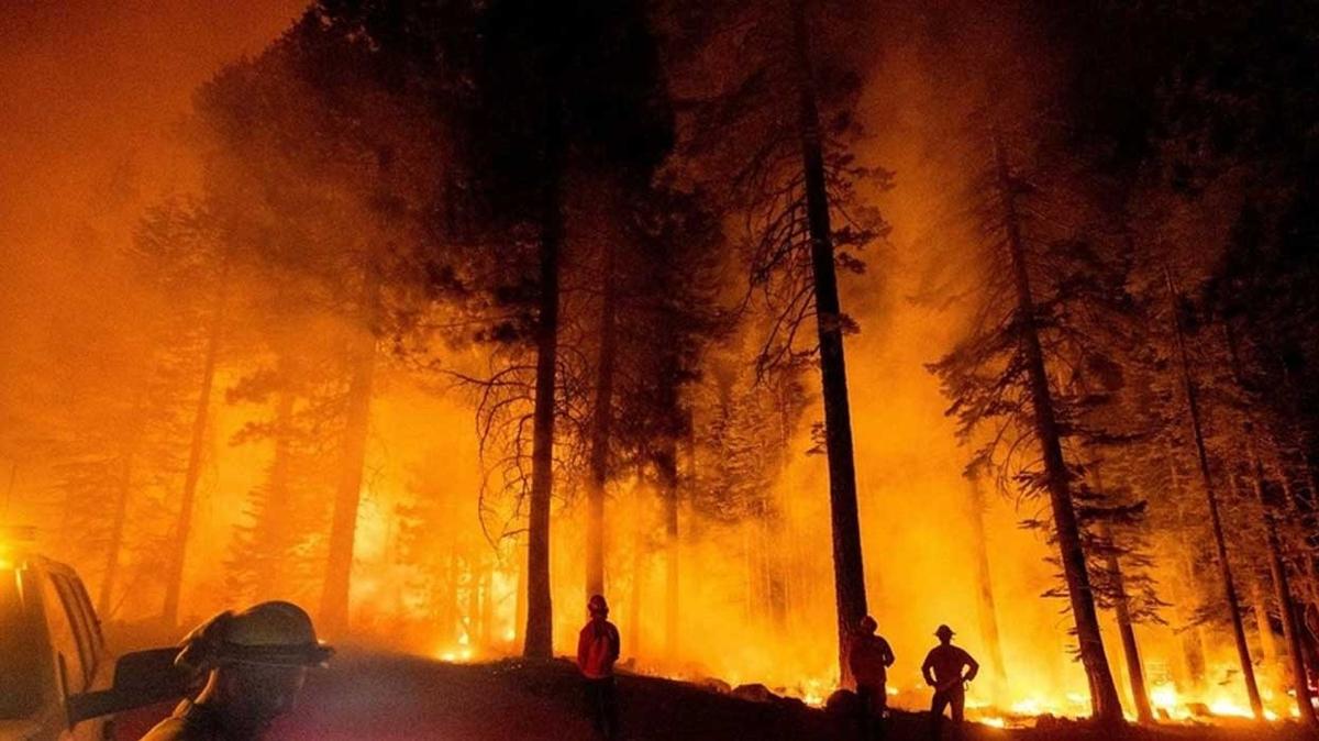 Fransa'da ar scak hava nedeniyle 'krmz alarm' verildi!