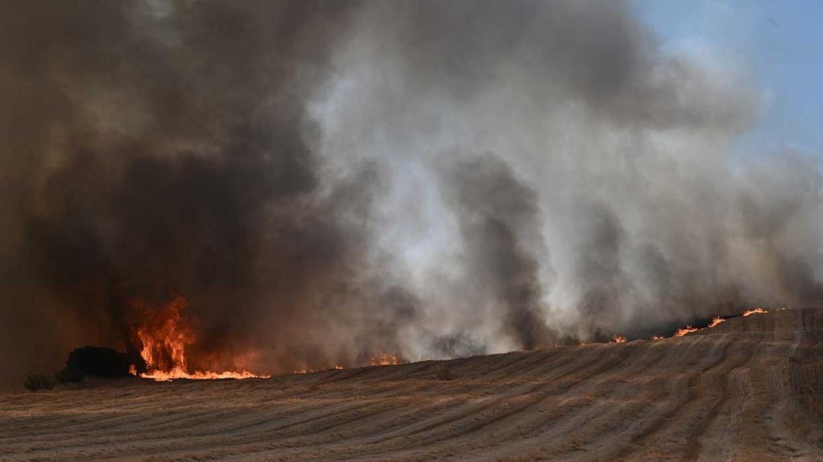 Yunanistan orman yangnlarnn penesinde... Bir blge daha alevlere teslim oldu