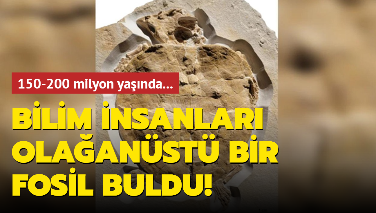 150-200 milyon yanda... Bilim insanlar olaanst bir fosil buldu!