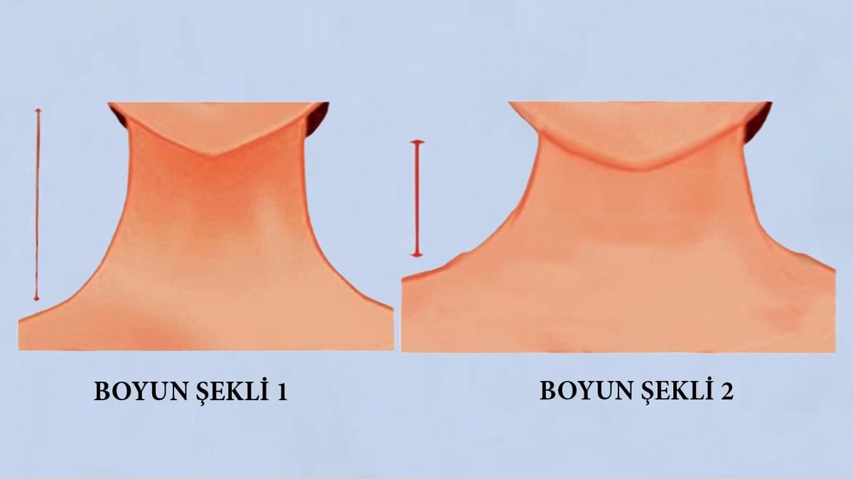 Hangi boyun ekline sahipsiniz" Kiilik testi: Gizli karakteristik zellikleriniz ortaya kyor!