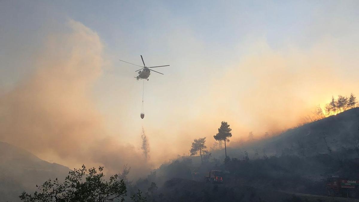 Yeni sistemle orman yangnlar 15-20 saniyede tespit edilebiliyor