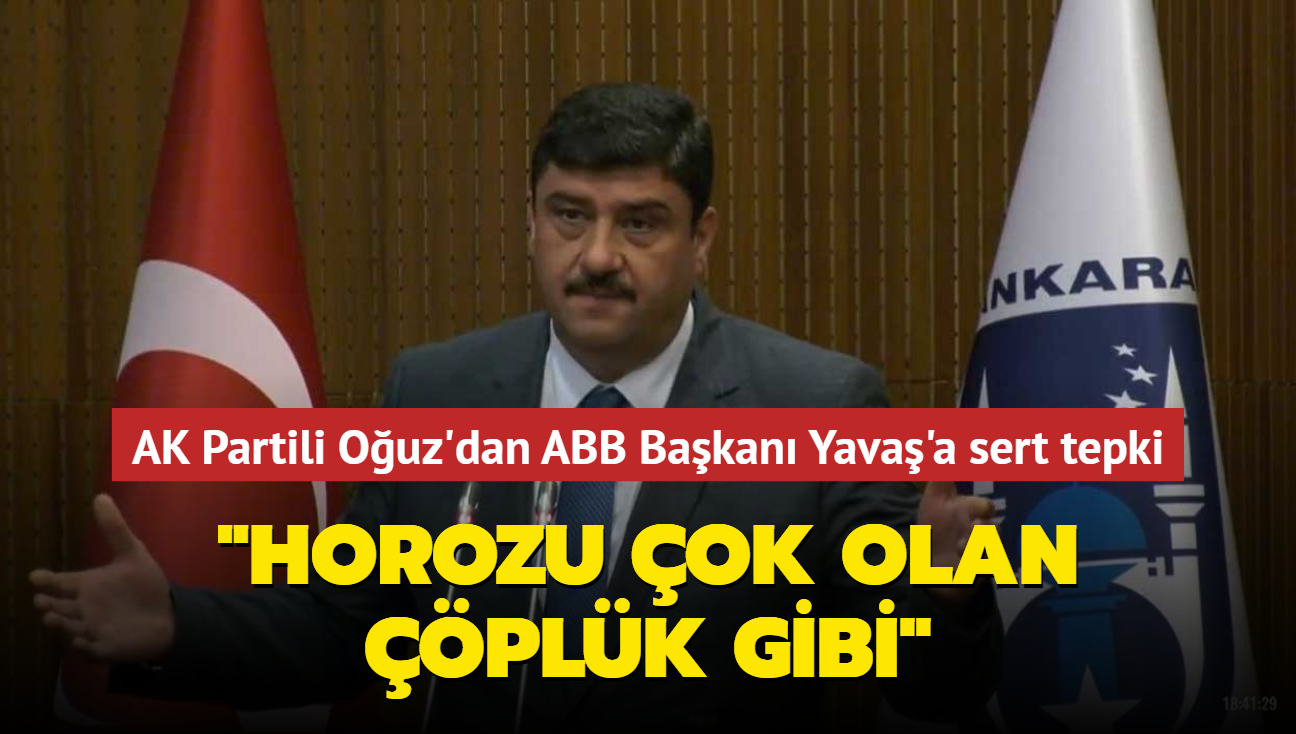 AK Partili Ouz'dan ABB Bakan Mansur Yava'a sert tepki... "Horozu ok olan plk gibi"