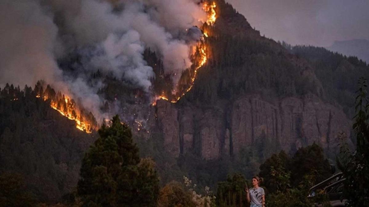 Cezayir'de orman yangnlar yeniden balad