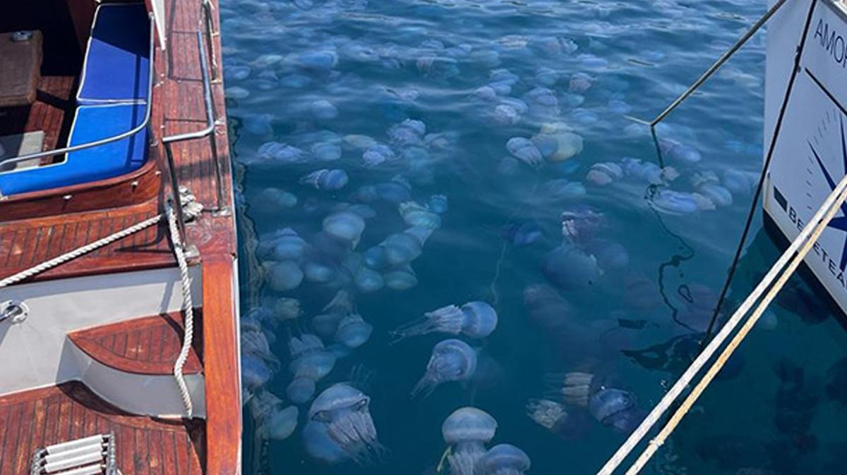 zmir Foa'da turizmi denizanas vurdu: Plajlar bo kald