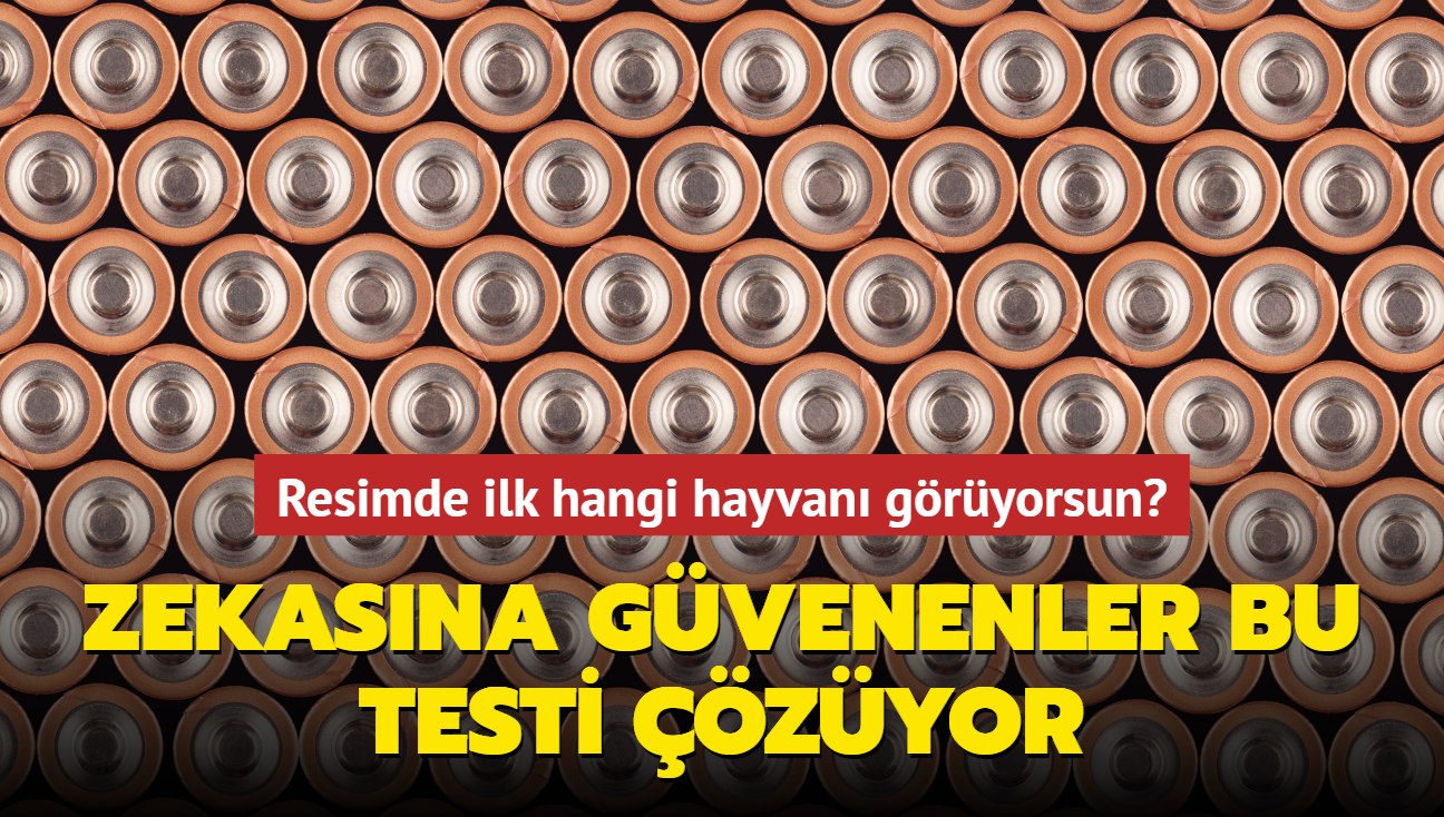 Resimde ilk hangi hayvan gryorsun" Zekasna gvenenler bu testi zyor...