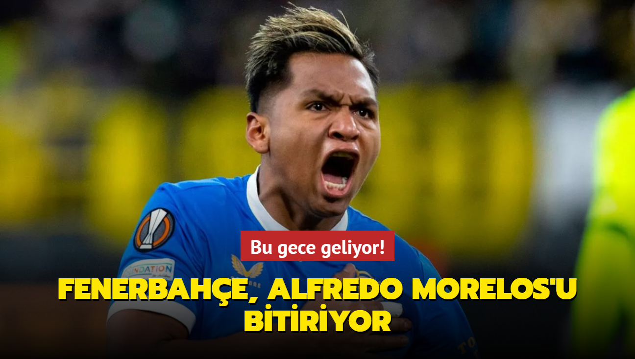 Bu gece geliyor! Fenerbahe, Alfredo Morelos'u bitiriyor