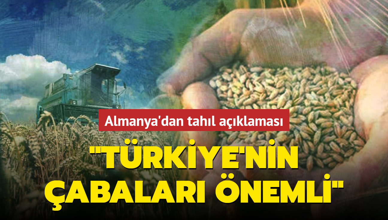 Almanya'dan tahl aklamas: Trkiye'nin abalar nemli