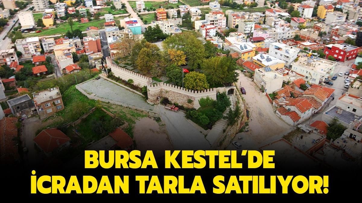 Bursa Kestel'de 3.7 milyon TL'lik icradan satlk tarla!