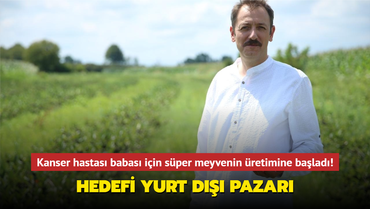 Kanser hastas babas iin sper meyvenin retimine balad! Hedefi yurt d pazar