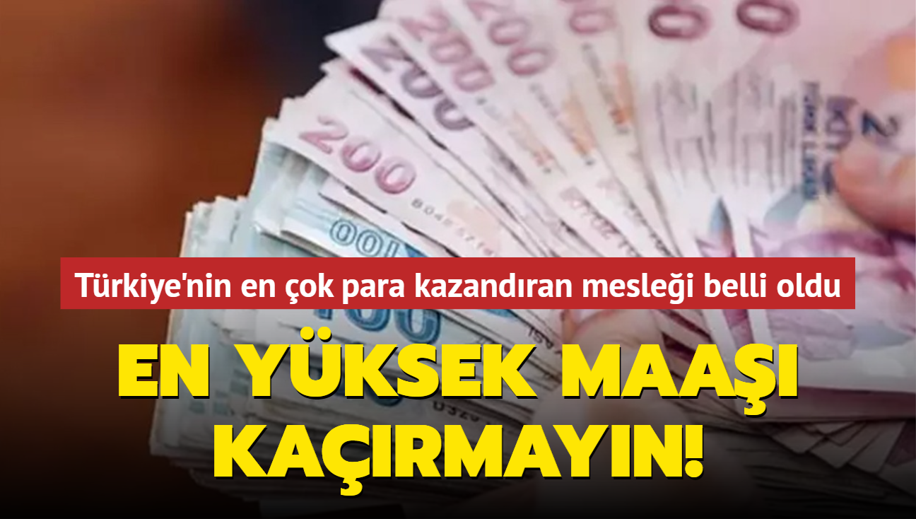 En yksek maa karmayn! Trkiye'nin en ok para kazandran meslei belli oldu
