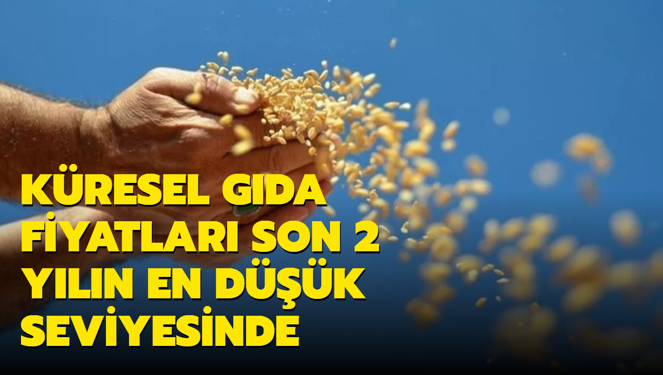 Kresel gda fiyatlar son 2 yln en dk seviyesinde