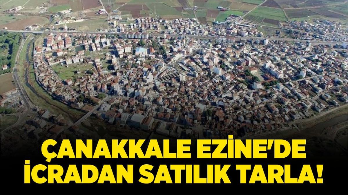 anakkale Ezine'de icradan satlk tarla!