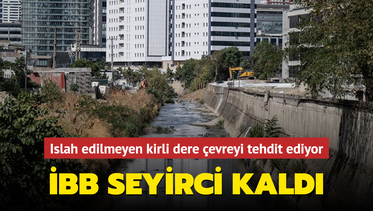 BB seyirci kald! Islah edilmeyen kirli dere evreyi tehdit ediyor