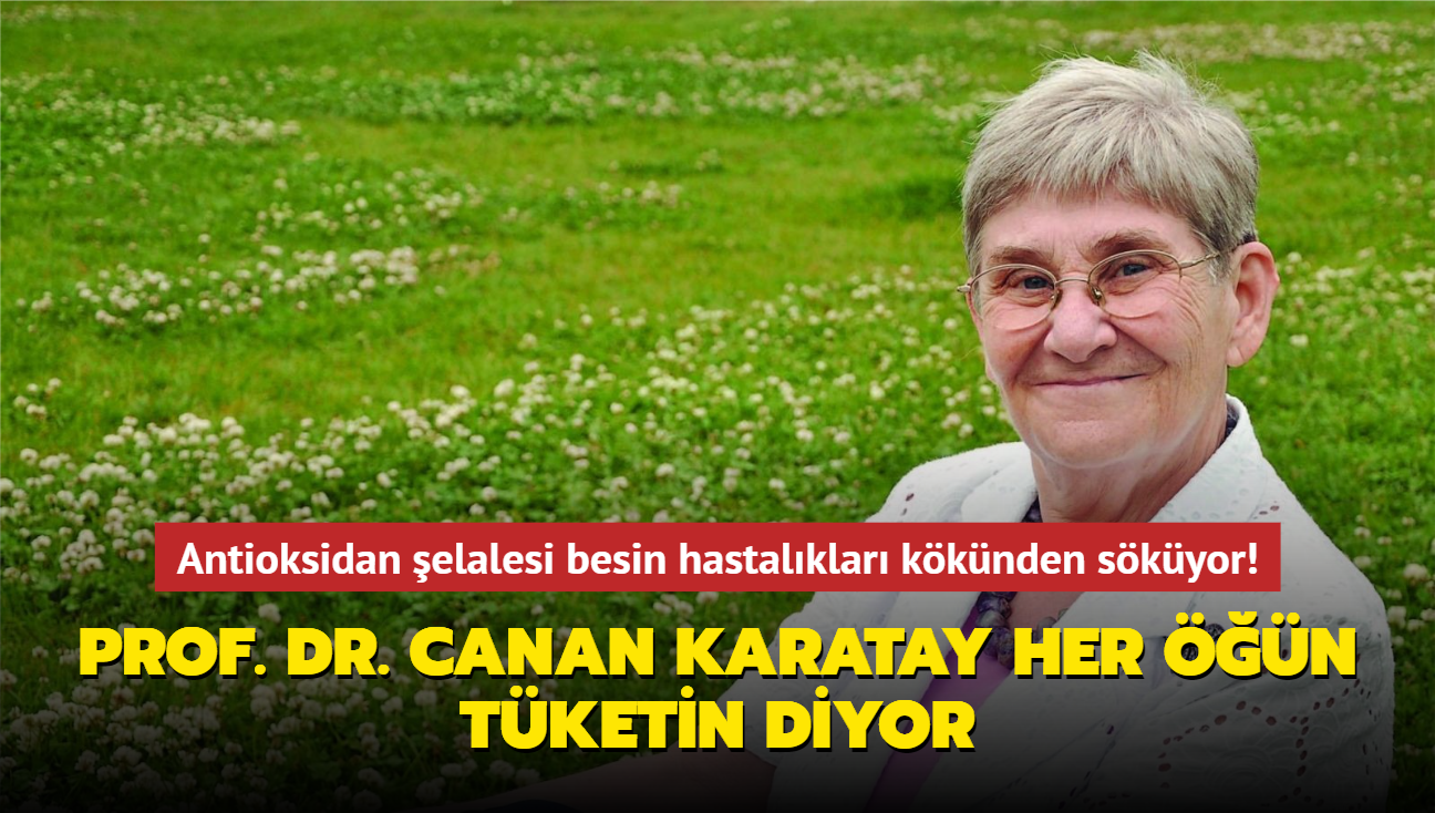 Antioksidan elalesi besin hastalklar kknden skyor! Prof. Dr. Canan Karatay her n tketin diyor