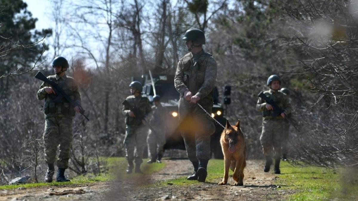 Yunanistan'a kamaya alan 23 terr rgt yesi yakaland