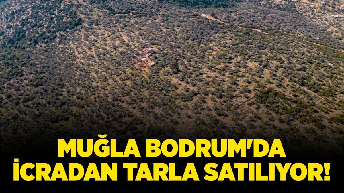Mula Bodrum'da 13 milyon TL'lik icradan satlk tarla!