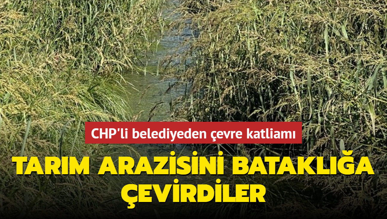 CHP'li belediyeden evre katliam! Tarm arazisini batakla evirdiler