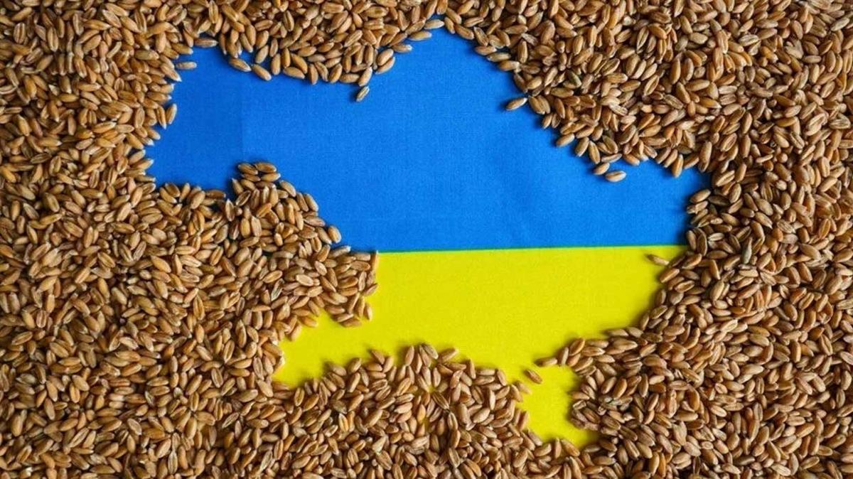 Ukrayna, tahl ithalatn yasaklayan AB lkelerine dava amaya hazrlanyor