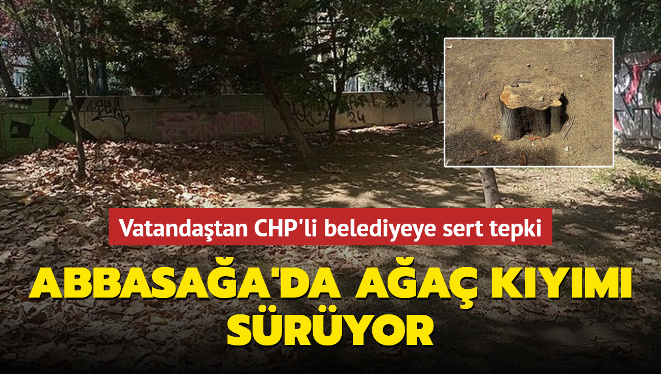 Abbasaa'da aa kym devam ediyor! Vatandatan CHP'li belediyeye sert tepki