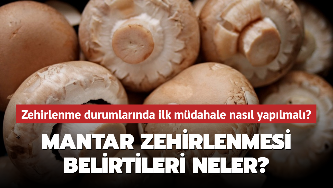 Mantar zehirlenmesi belirtileri neler" Zehirlenme durumlarnda ilk mdahale nasl yaplmal