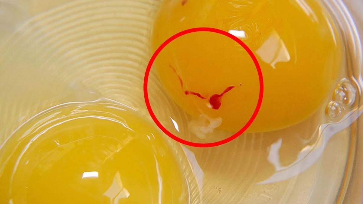 Lekeli yumurta yemek zehirler mi" Yumurta sarsnda neden kan izi olur"
