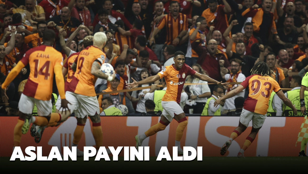 Aslan payn ald