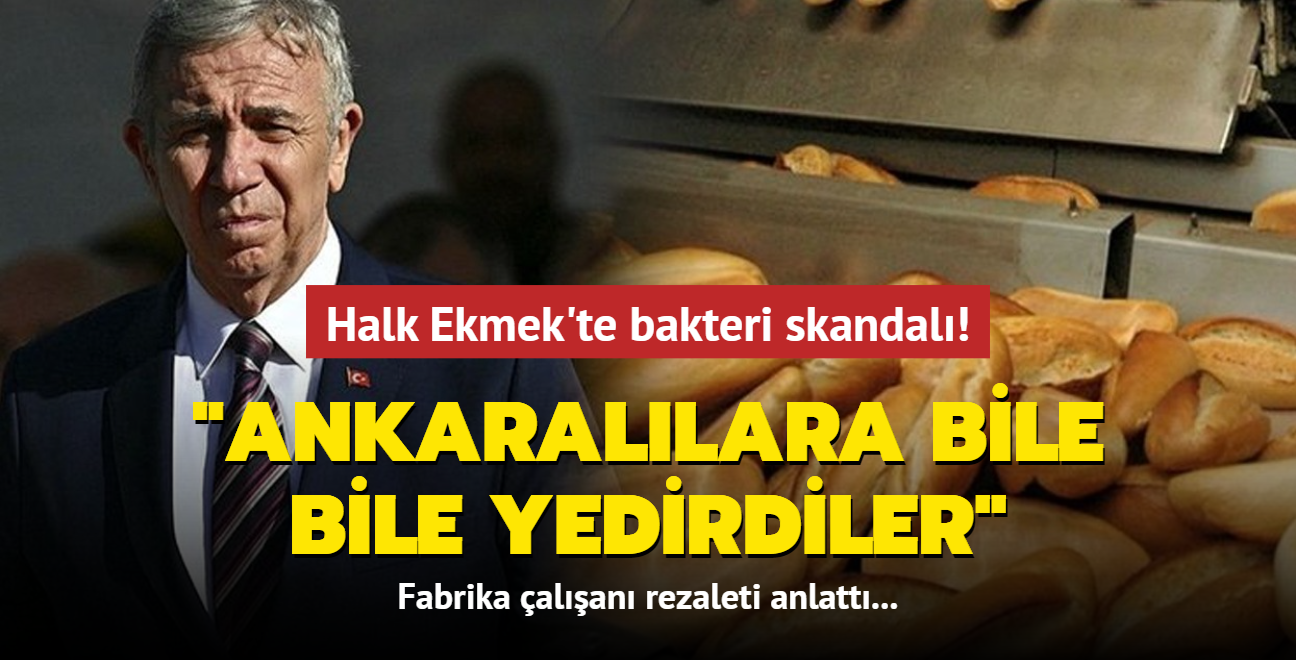 Halk Ekmek'te bakteri skandal! Fabrika alan rezaleti anlatt: Ankarallara bile bile yedirdiler