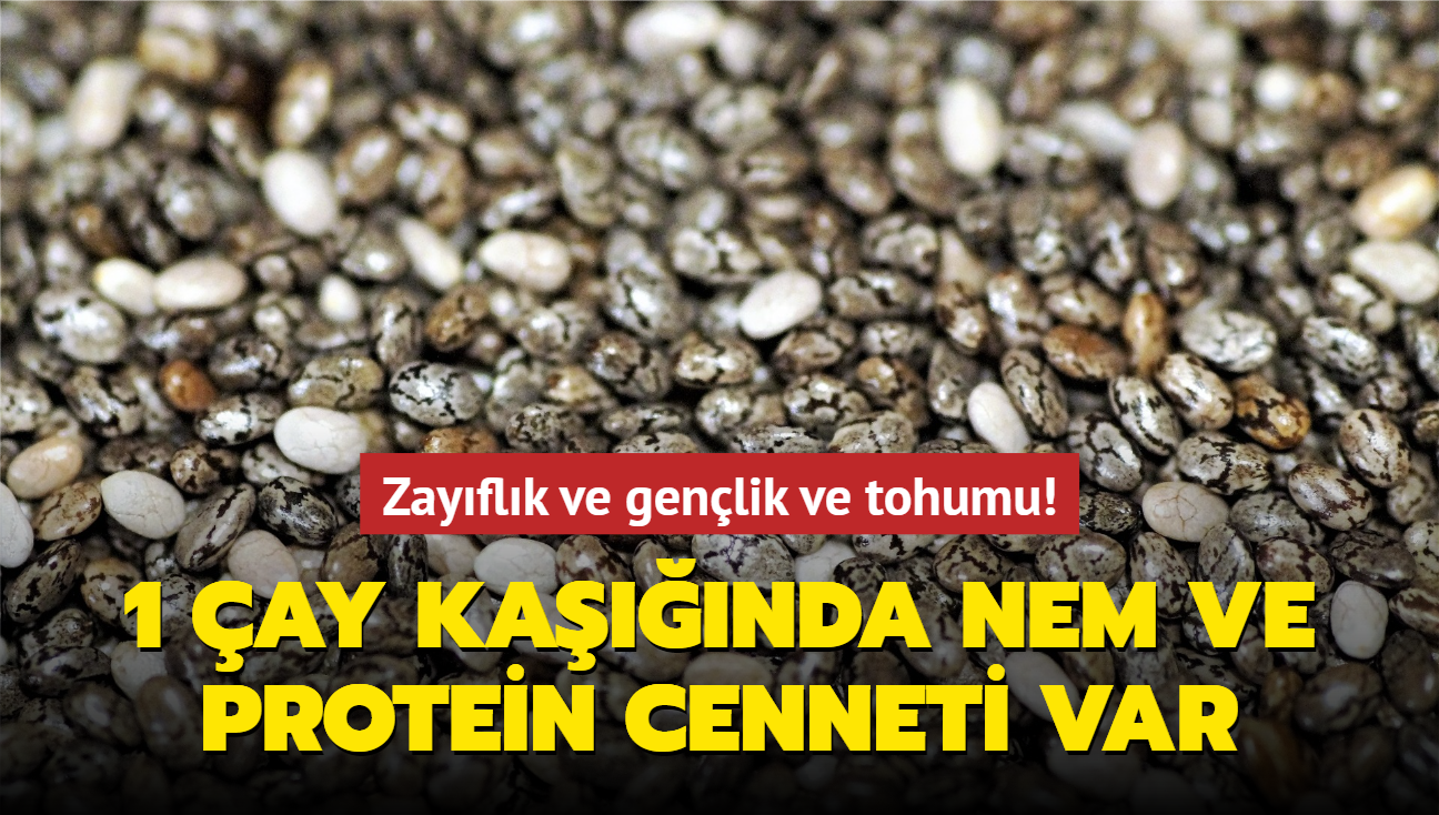 Zayflk ve genlik ve tohumu! 1 ay kanda nem ve protein cenneti var