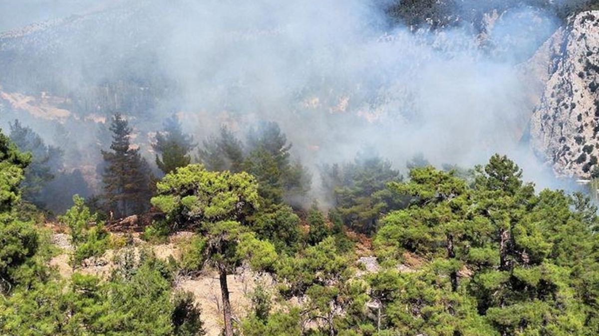 Antalya'da iki ayr noktada orman yangn kt
