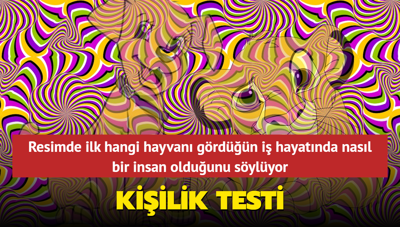 Resimde ilk kpek mi aslan m grdn" Kiilik testi i hayatnda karakterini anlatyor