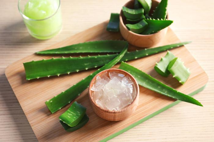 aloeverajellyfeatimg-041020238c88b6ba.jpg