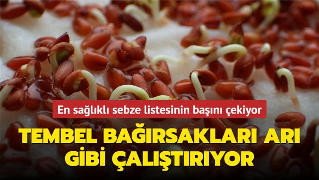 En Sağlıklı Sebze Listesinin Başını çekiyor! Tembel Bağırsakları Arı ...