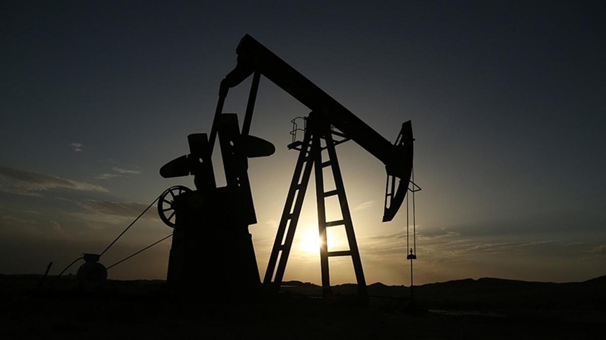 OPEC rapor paylat! Petrol talebi gnlk 116 milyon varile ulaacak