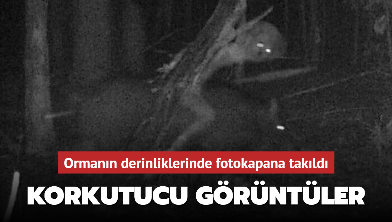 Orman�n derinliklerinde fotokapana tak�ld�! Korkutucu g�r�nt�ler
