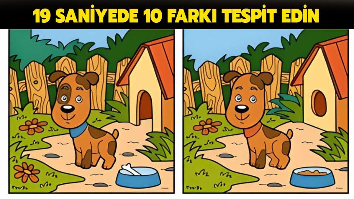 19 saniye sreniz var! ki resim arasndaki 10 fark bulann IQ'su 116'y ayor