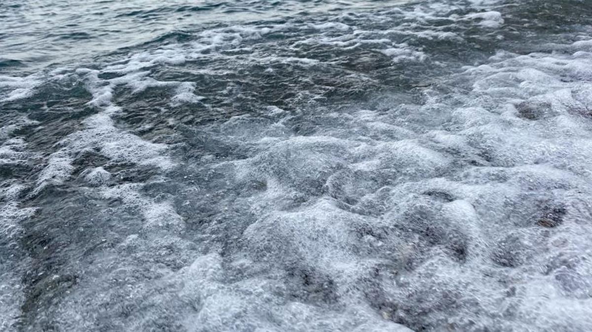 Yeil hidrojen almalar Karadeniz'in saln koruyabilir