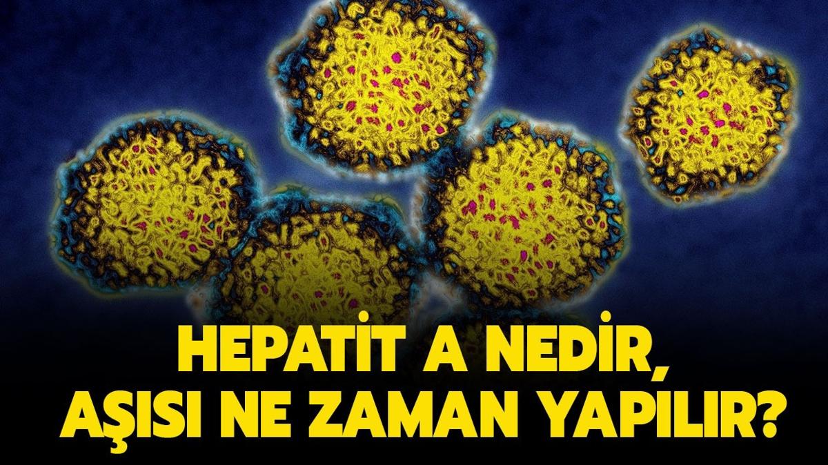 Hepatit A as ne zaman yaplr" Hepatit A nedir, belirtileri nelerdir" 