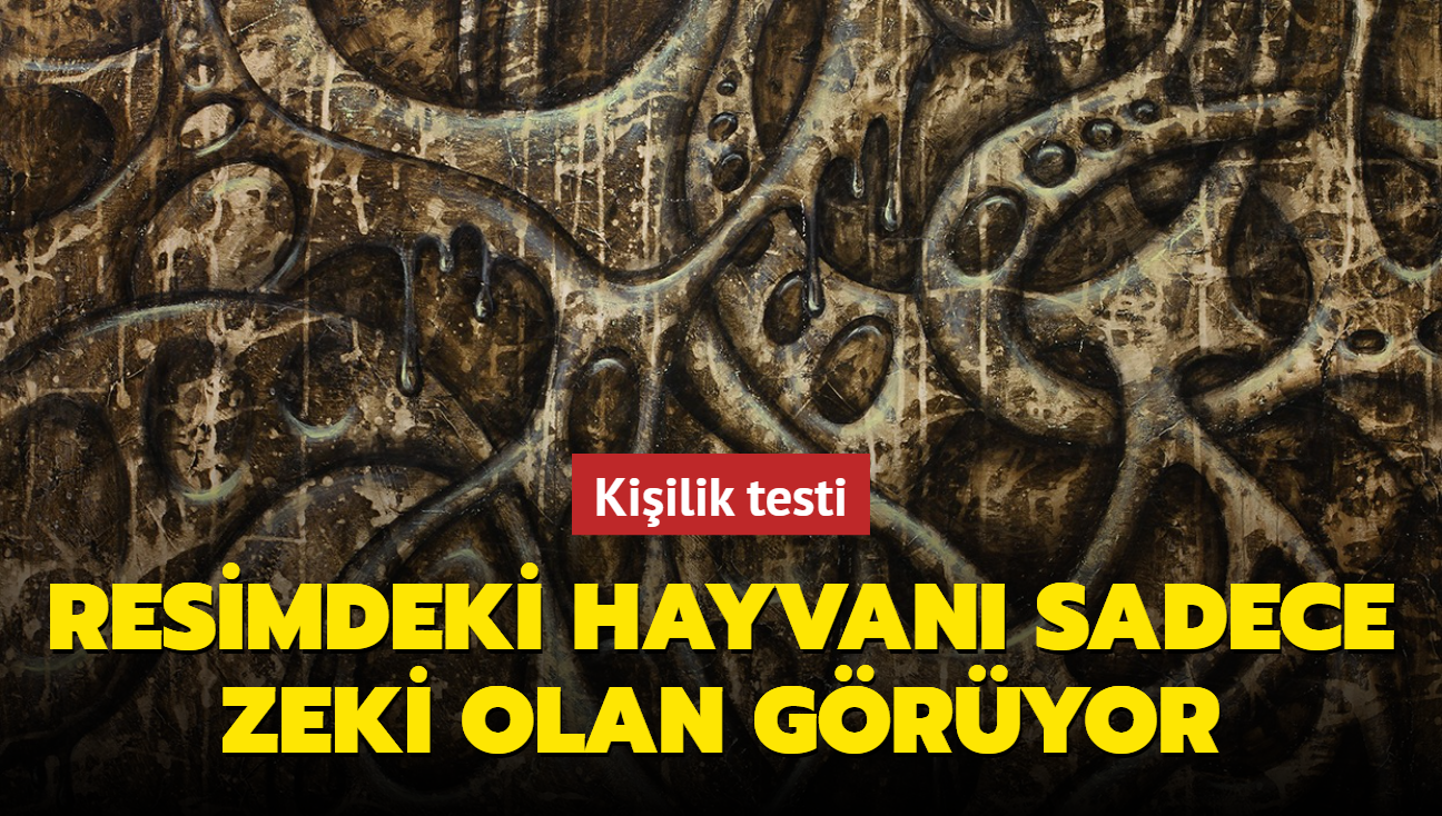 Dikkat! Bu kiilik testi fesatlk ierir! Resimdeki hayvan sadece zeki olan gryor