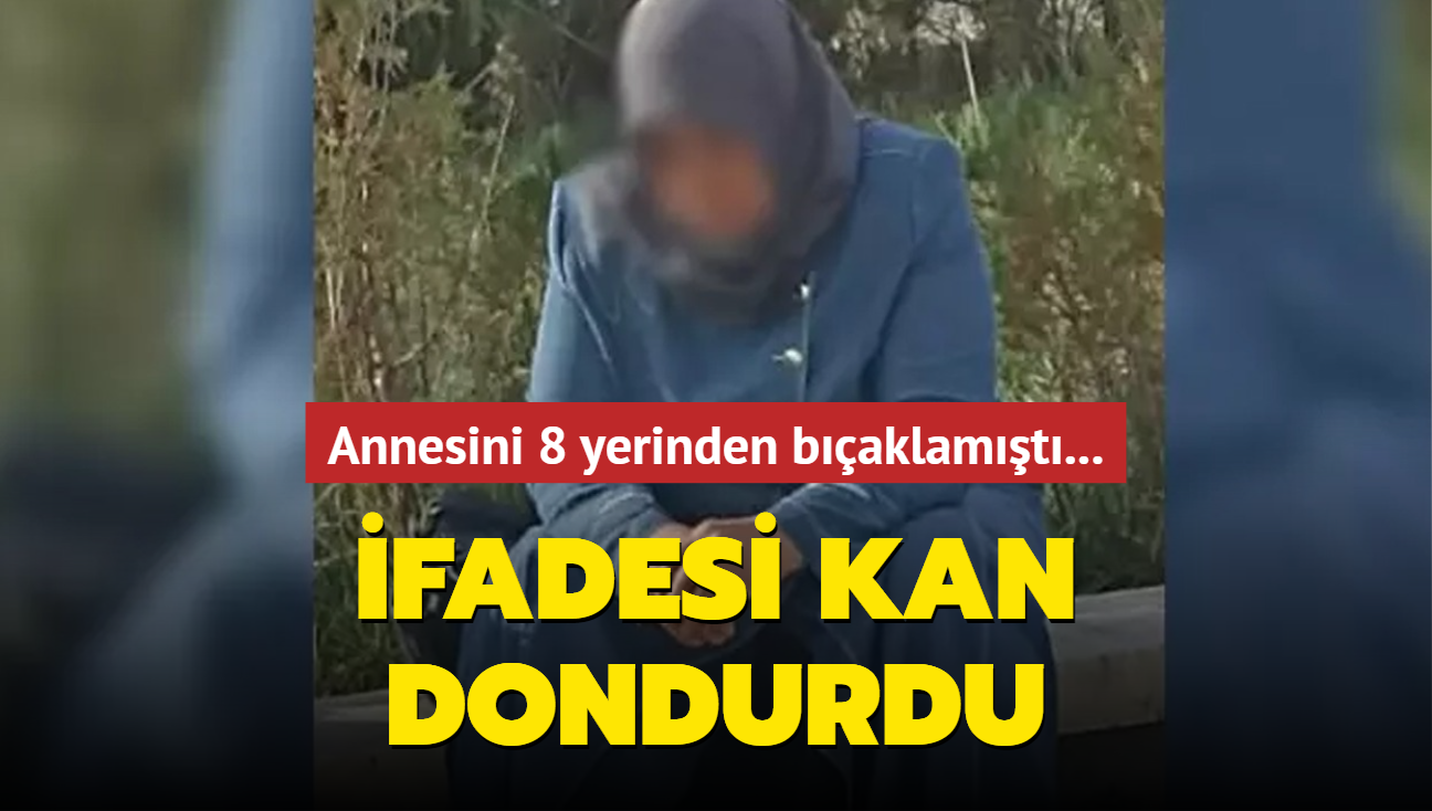 Annesini 8 yerinden baklamt... fadesi kan dondurdu: Piman deilim ve zevkle yaptm