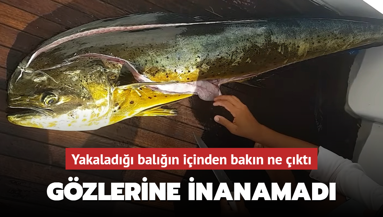 Yakalad��� bal���n i�inden bak�n ne ��kt�! G�zlerine inanamad�
