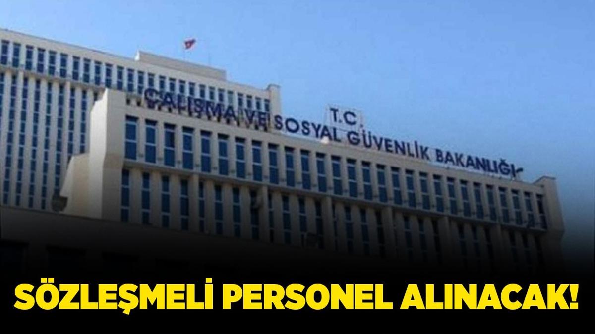 alma ve Sosyal Gvenlik Bakanl 19 Szlemeli Biliim Personeli alacak!