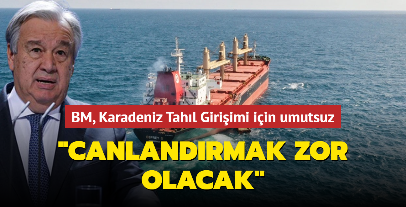 BM, Karadeniz Tahl Giriimi iin umutsuz... "Canlandrmak zor olacak"