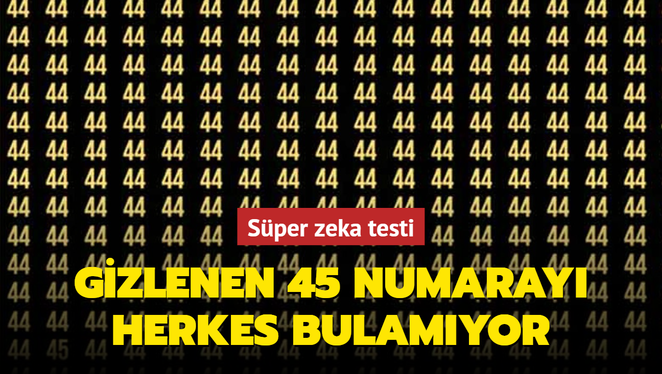 Zeka testi: Sadece sper zekiler gizlenen 45 numaray buluyor