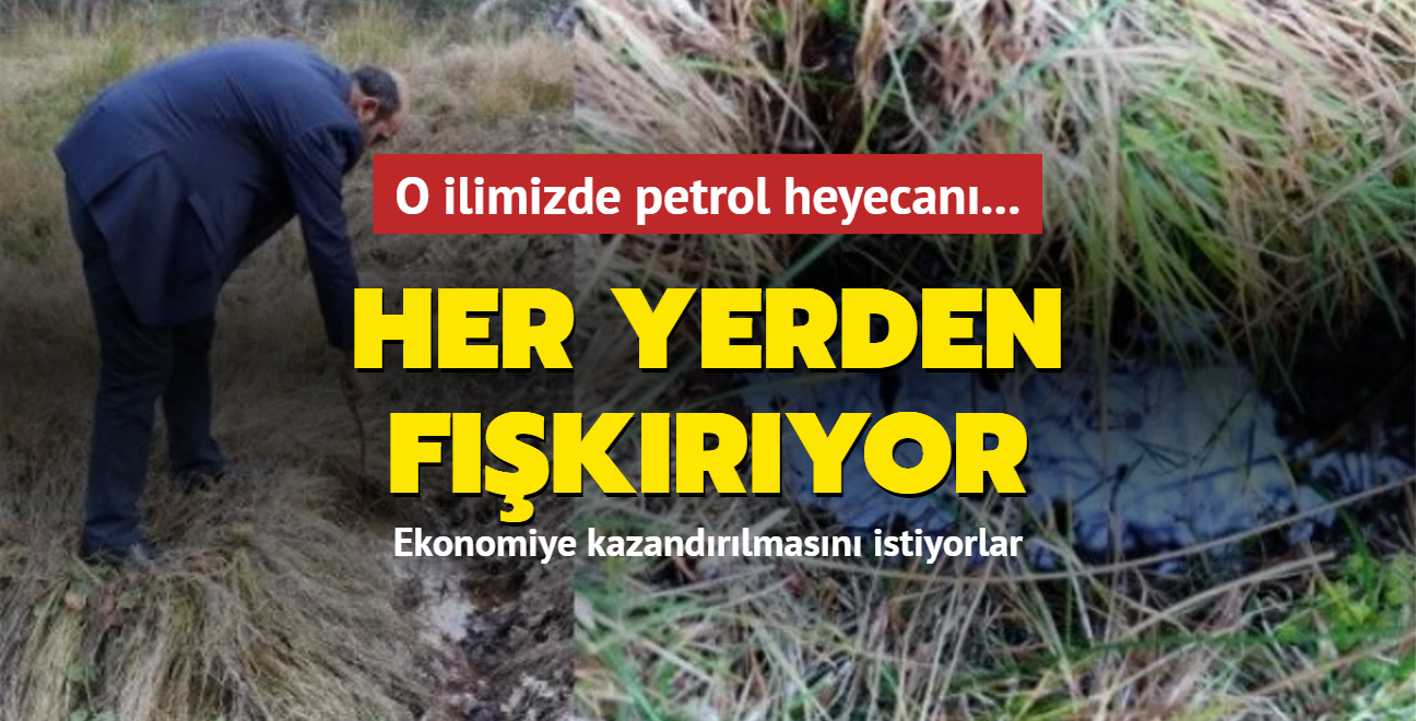 O ilimizde petrol heyecan... Her yerden fkryor: Ekonomiye kazandrlmasn istiyorlar