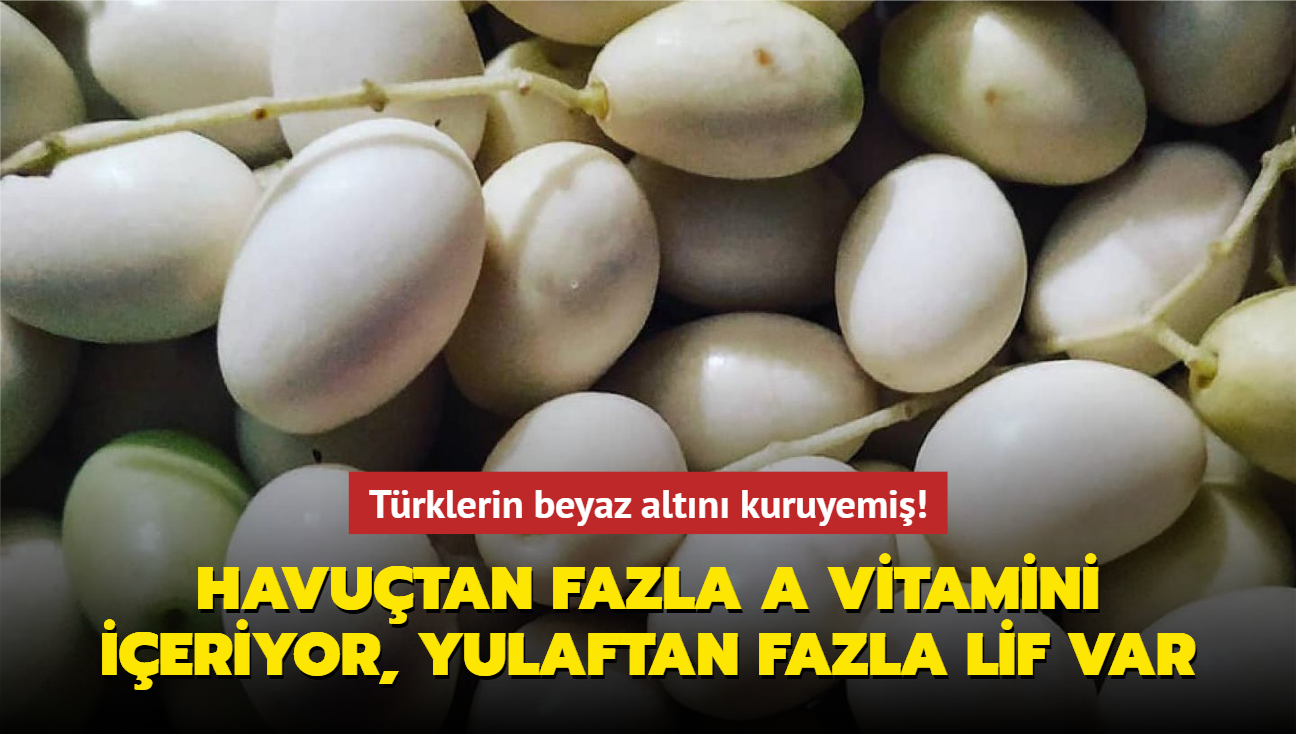 Trklerin beyaz altn kuruyemi! Havutan fazla A vitamini ieriyor, yulaftan fazla lif var