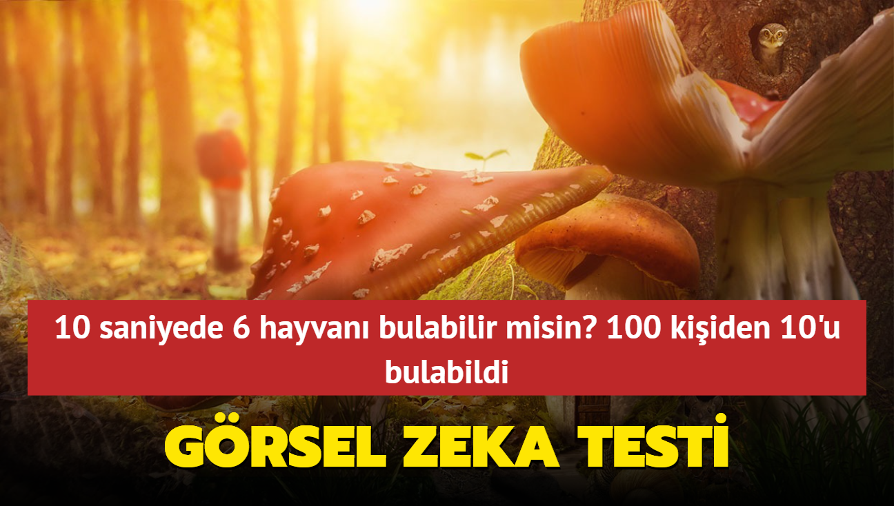 Grsel zeka testi: 10 saniyede 6 hayvan bulabilir misin" 100 kiiden 10'u bulabildi