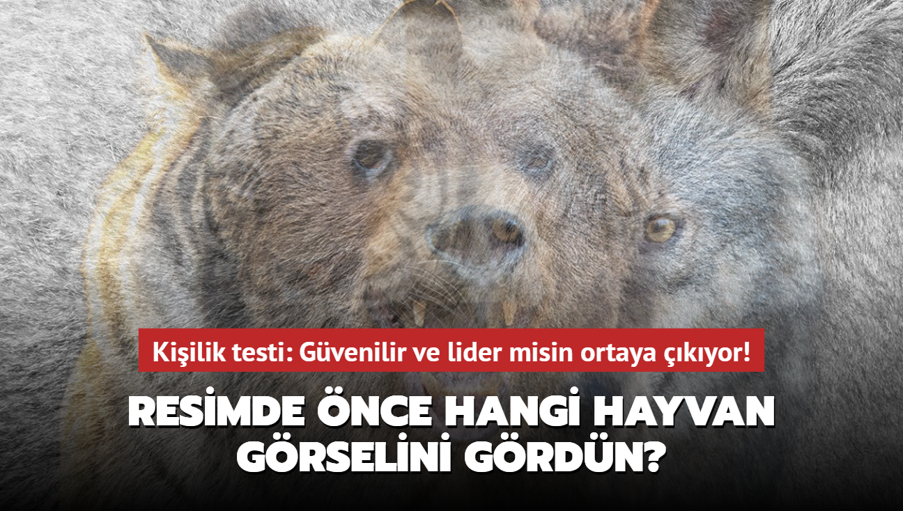 Kiilik testi: Gvenilir ve lider misin ortaya kyor! Resimde nce hangi hayvan grselini grdn"