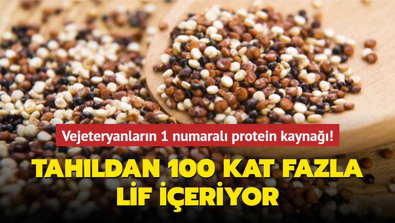 Vejeteryanlarn 1 numaral protein kayna! Tahldan 100 kat fazla lif ieriyor! Kaslarnz demir gibi salam oluyor