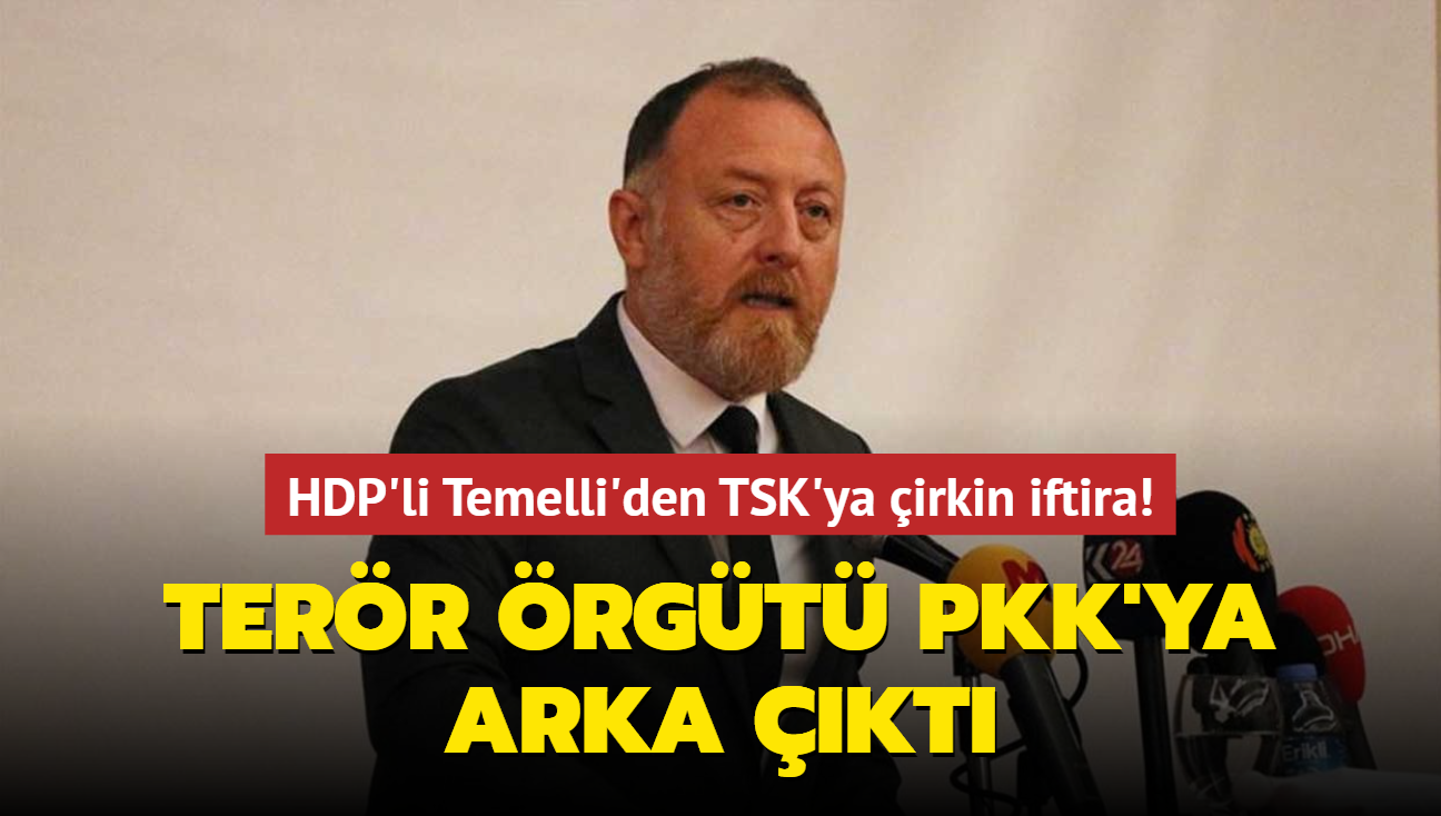Terr rgt PKK'ya arka kt... HDP'li Temelli'den TSK'ya irkin iftira!  
