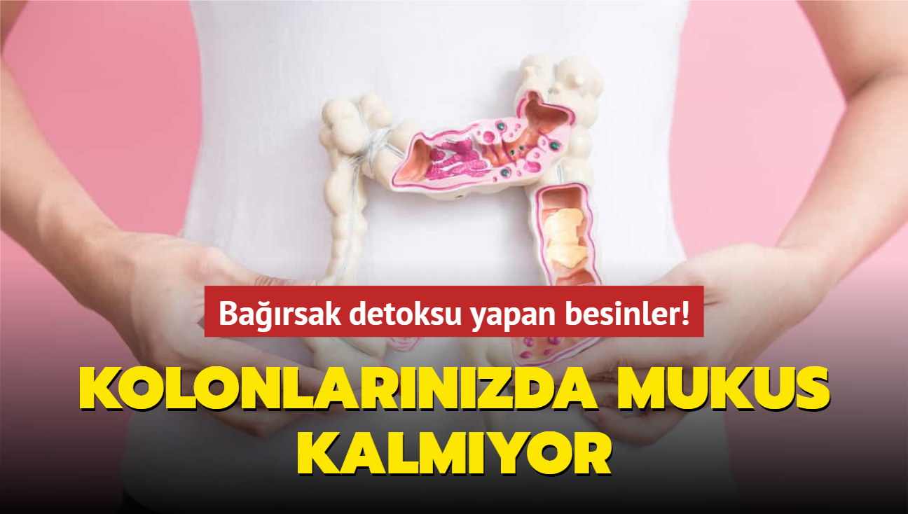 Barsak detoksu yapan besinler! Kolonlarnzda mukus kalmyor, kabzlk ve ikinlik son buluyor